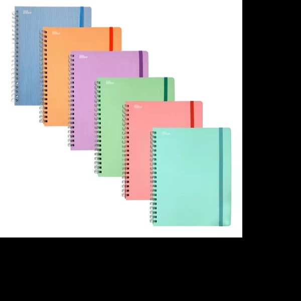 CUADERNO PROF. ARCOIRIS PASTEL P.D PRINTA RAY ESP.100H. PZA